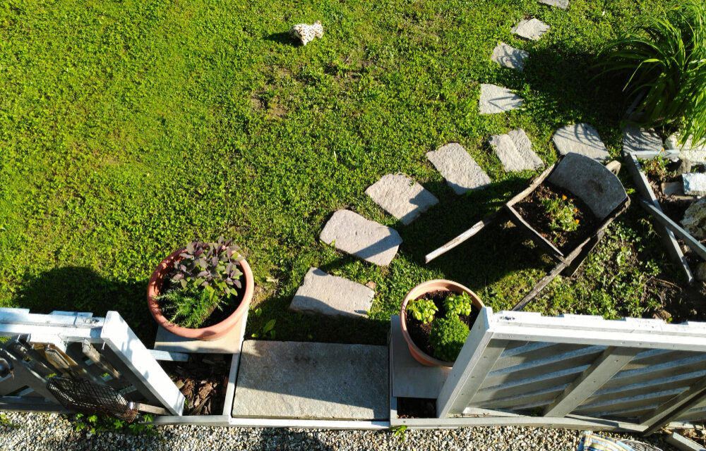 Patio Deck or Landscaping First