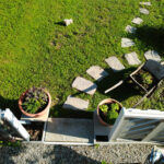 Patio Deck or Landscaping First