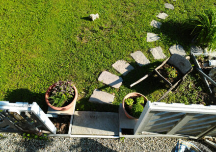 Patio Deck or Landscaping First
