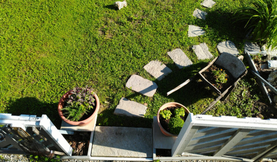 Patio Deck or Landscaping First
